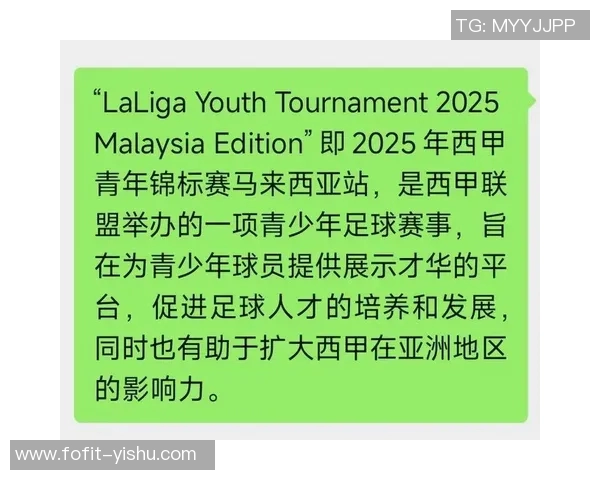 马来西亚足球球星的崛起与成就解析
